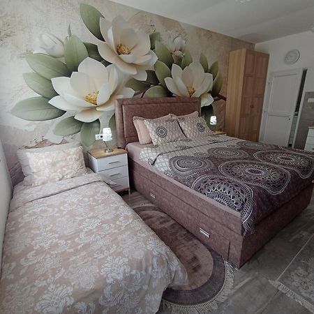 Studio Lotos Beograd Bagian luar foto