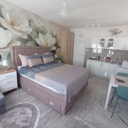 Studio Lotos Beograd Bagian luar foto